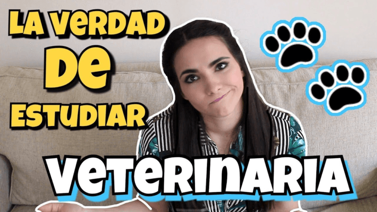 Medicina Veterinaria: Carrera para los Amantes de los Animales