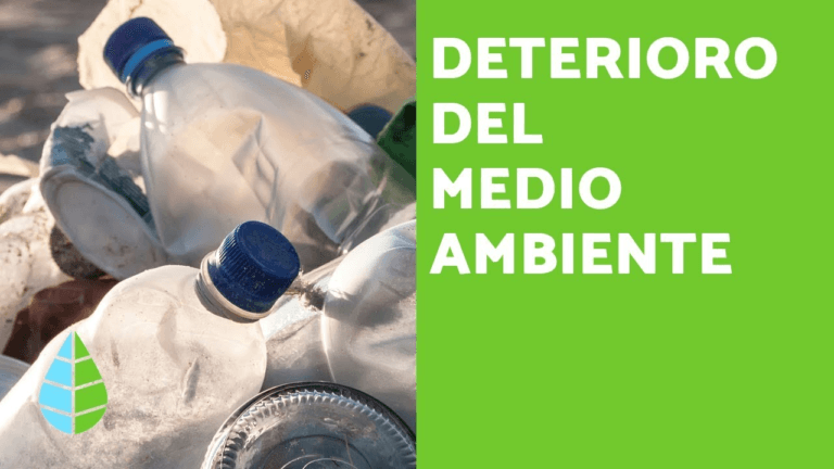 Deterioro Ambiental: Análisis de Causas y Consecuencias UNAM