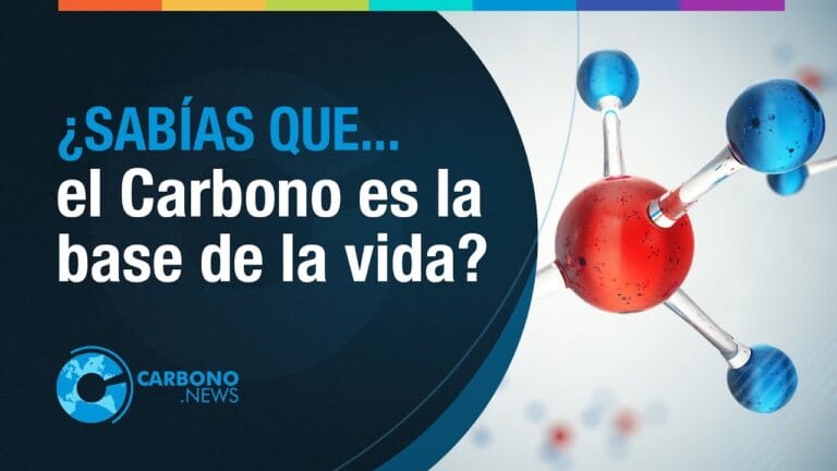 Átomo de Carbono: La Piedra Angular de la Química Orgánica