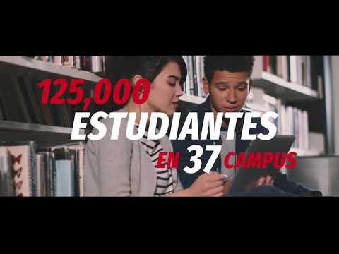 Descubre la Excelencia Académica en la Universidad del Valle de México SLP