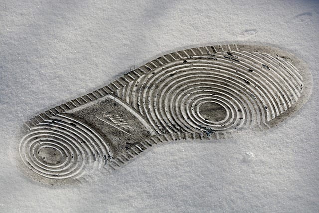 Criminalística y Ciencias Forenses: Una Carrera Fascinante