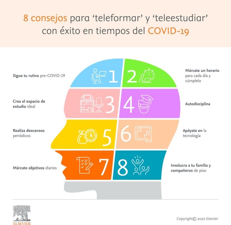 Descubre cómo estudiar en casa primaria de manera efectiva y divertida