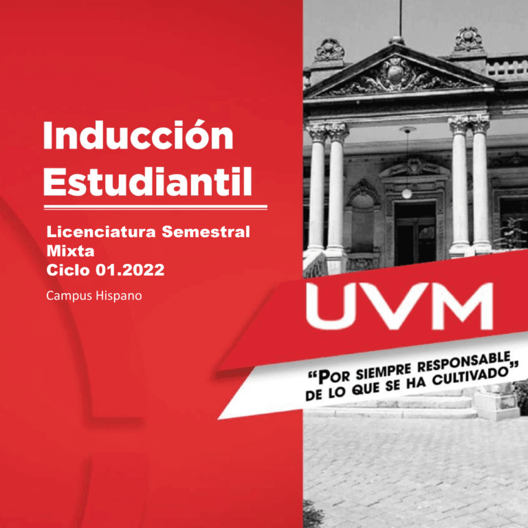 Descubre la Excelencia Académica en la Universidad del Valle de México Campus Hispano