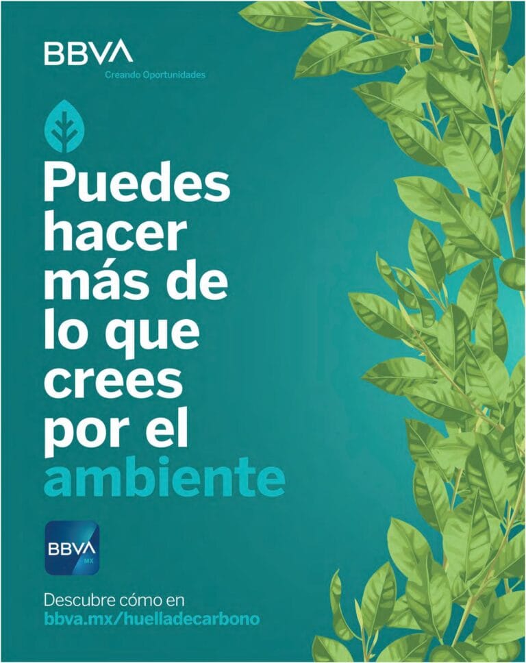 Descubre los programas académicos de la Universidad UVM Mexicali y haz realidad tus metas educativas