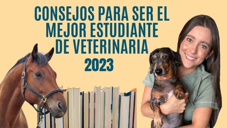 🐾 Estudia Veterinaria los Fines de Semana y Conviértete en un Profesional Apasionado 🐾