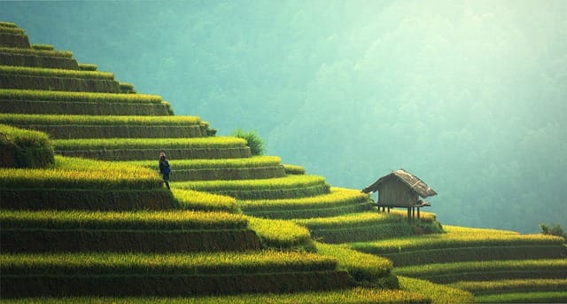 Optimiza tu Producción Agrícola con Estas Estrategias Eficientes Optimiza tu Producción Agrícola con Estas Estrategias Eficientes