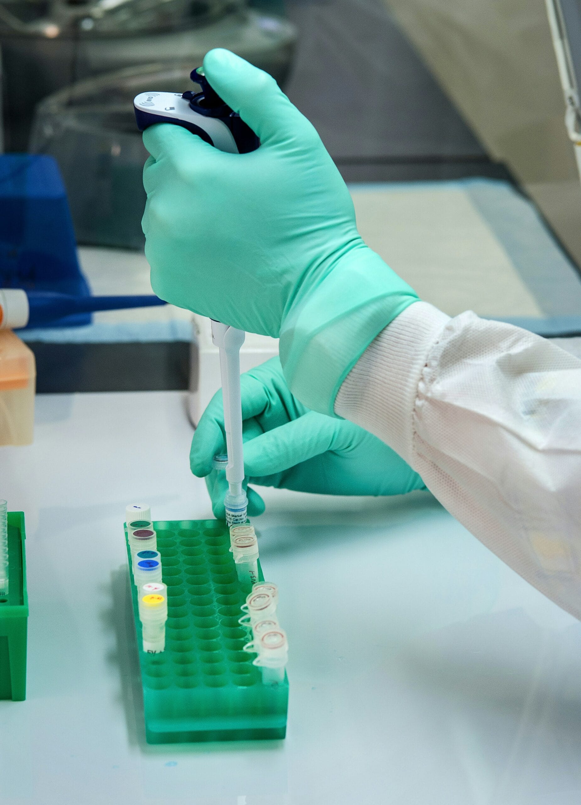 🔬 Mejores Materiales de Laboratorio de Biología para Experimentos Exitosos 🔬 🔬 Mejores Materiales de Laboratorio de Biología para Experimentos Exitosos 🔬