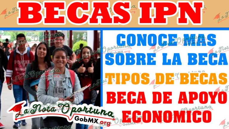 Descubre las Mejores Becas IPN para tu Futuro Profesional