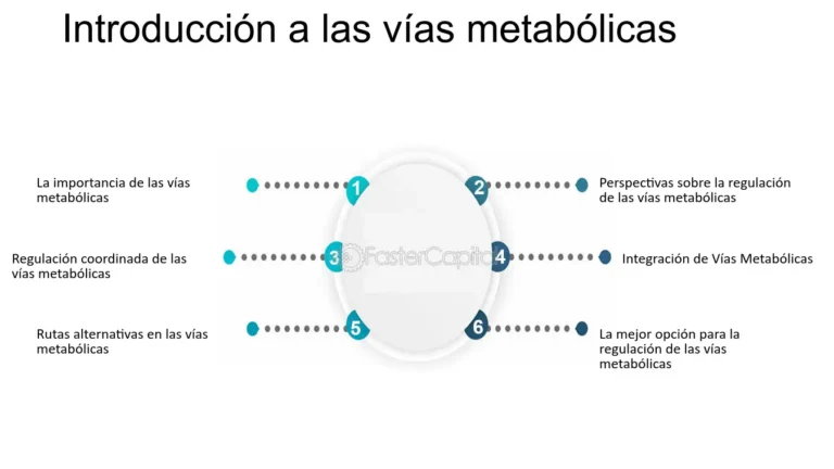 Descubre las Rutas Metabólicas: Optimiza tu Salud hoy mismo