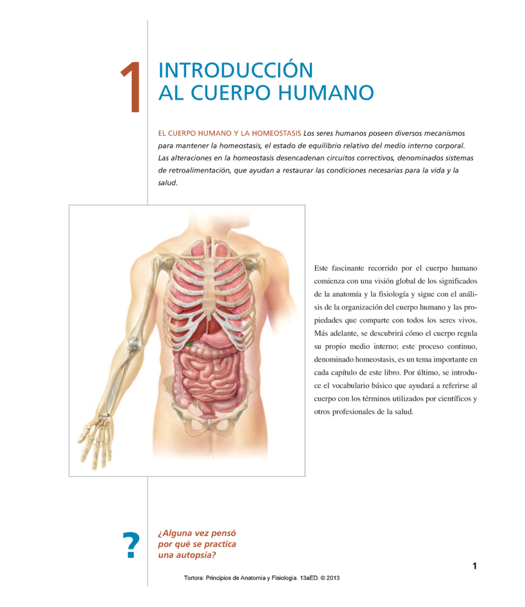 la-fascinante-anatomia-y-fisiologia-humana-guia-completa