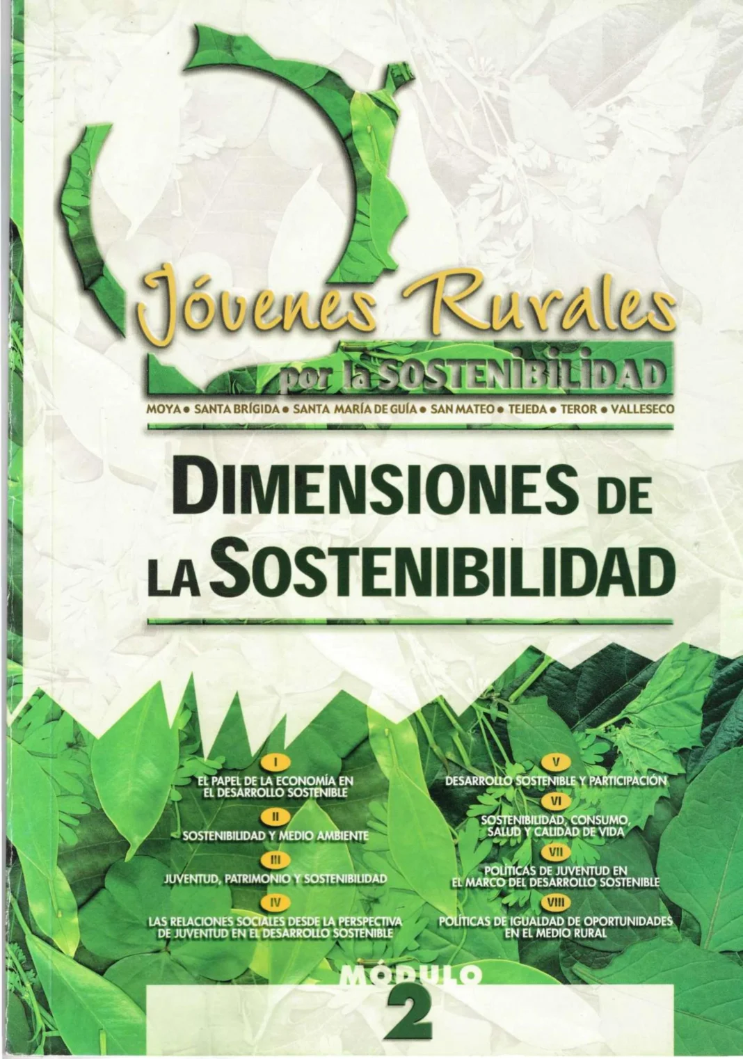 las-dimensiones-de-la-sustentabilidad-guia-completa