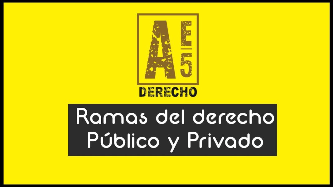 las-ramas-del-derecho-guia-completa-para-entender-sus-diferencias