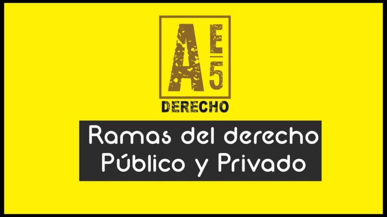 Las Ramas del Derecho: Guía Completa para Entender sus Diferencias