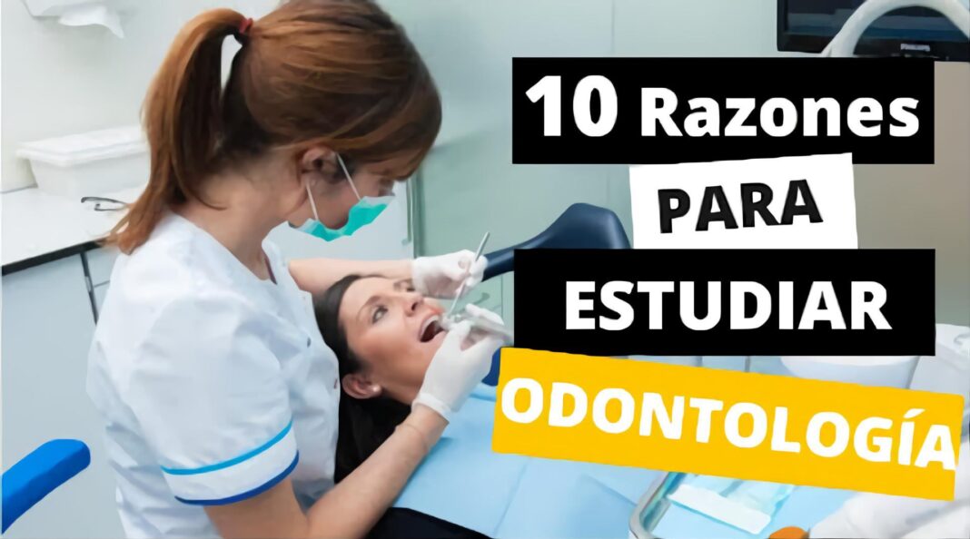 licenciatura-en-odontologia-en-el-ipn-tu-puerta-de-entrada-al-mundo-odontologico
