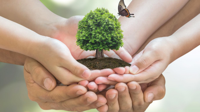 etica ambiental