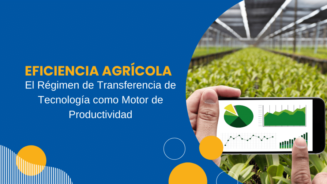 optimiza-tu-produccion-agricola-con-estas-estrategias-eficientes